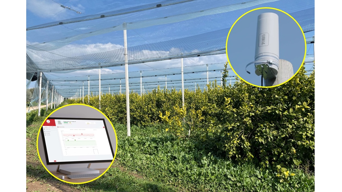 Toro Tempus Air Limonero_Toro Tempus Air limonero_Limonero Toro Tempus Air (1)_Limonero Toro Tempus Air_limonero (1)_limonero.jpg